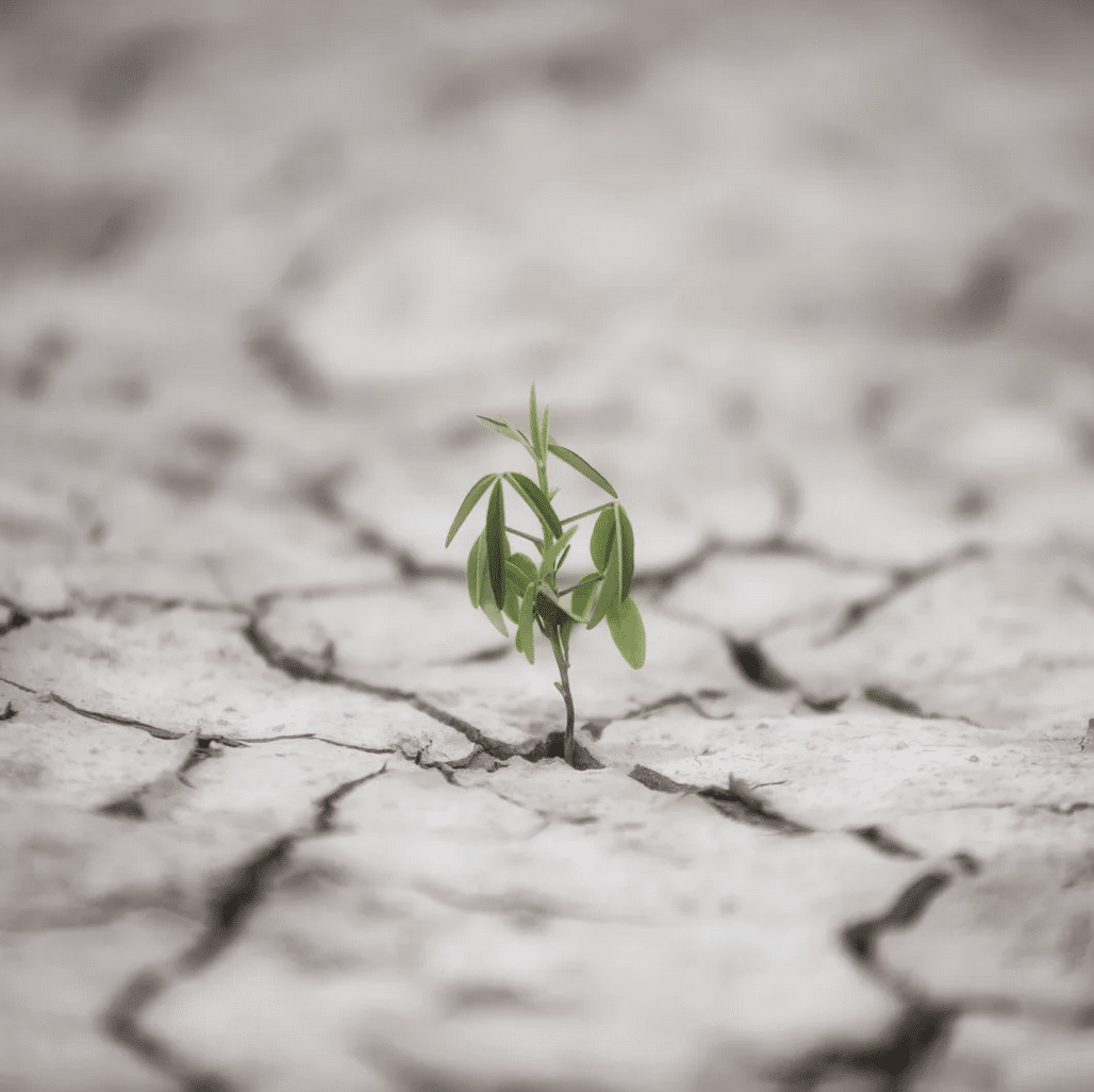 Coping Mechanisms for Addiction Recovery