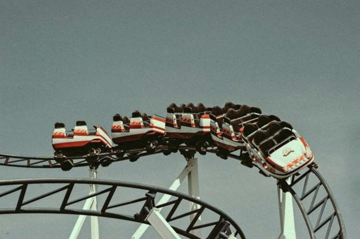 rollercoaster emotional regulation